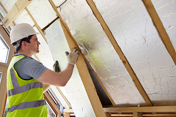 Best Insulation Maintenance and Repair in Durand, WI